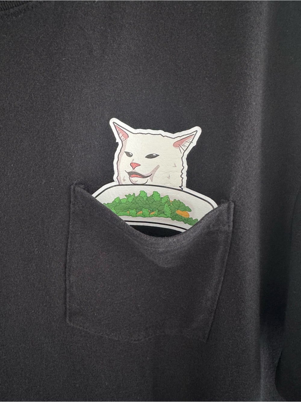 Salad Cat Black Pocket T-Shirt